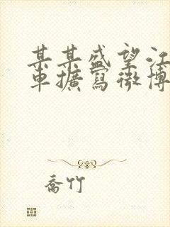 某某盛望江添肉车扩写微博