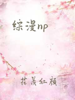 综漫np