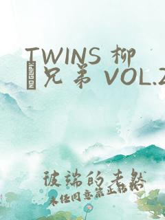 TWINS 柳澤兄弟 VOL.2