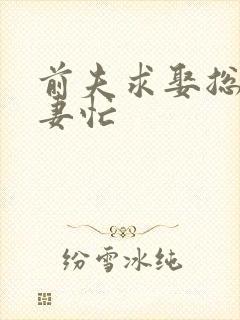 前夫求娶总裁追妻忙