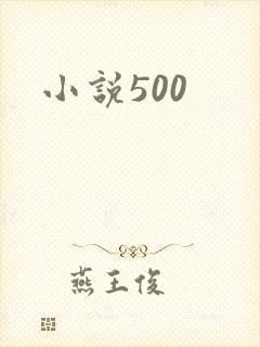 小说500
