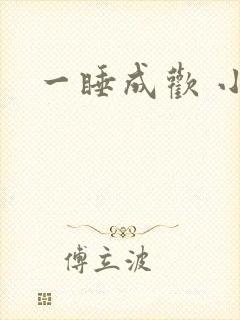 一睡成欢 小说