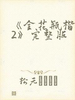 《金花瓶楷梅花2》完整版