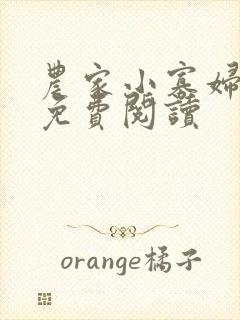 农家小寡妇全文免费阅读