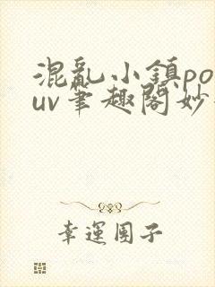 混乱小镇popuv笔趣阁妙妙