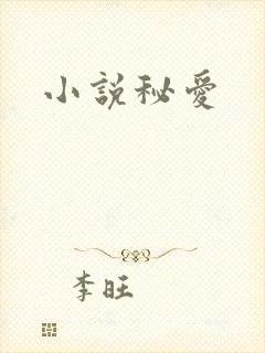 小说秘爱