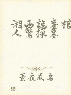 湘西诡事棺山道人惊探墓