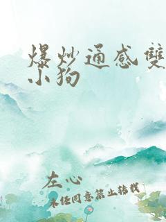 爆炒通感双胞胎小狗