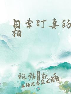 日常盯妻的小丞相