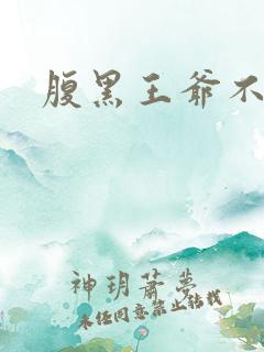 腹黑王爷不良妻