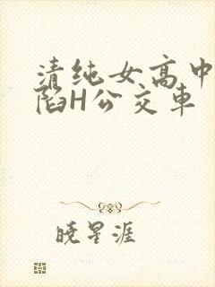 清纯女高中生沦陷H公交车