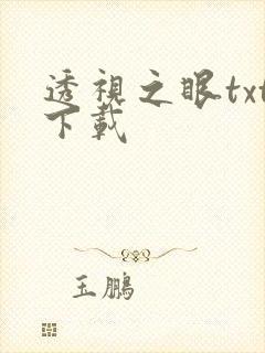 透视之眼txt下载
