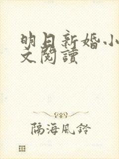 明日新婚小说全文阅读