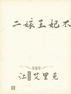 二嫁王妃不好惹