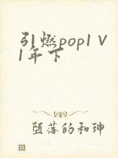 引燃pop1∨1年下