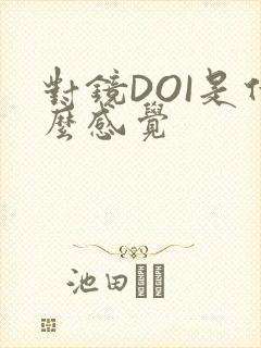 对镜DOI是什么感觉