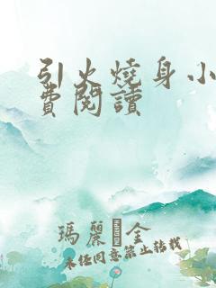 引火烧身小说免费阅读