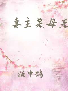 妻主是母老虎