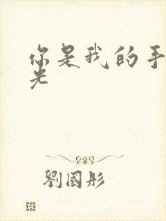 你是我的手冢国光