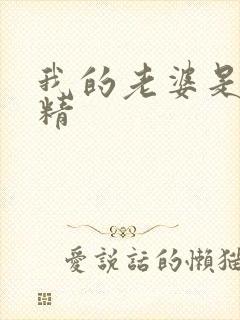 我的老婆是狐狸精