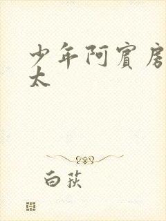 少年阿宾房东太太