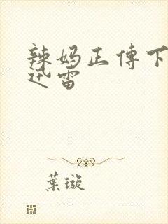 辣妈正传下载 迅雷