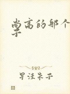 尚高的那个臭小子