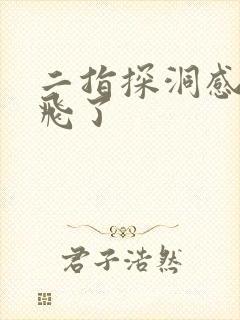 二指探洞感觉要飞了