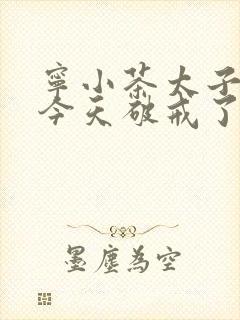 宁小茶太子殿下今天破戒了吗免费阅读