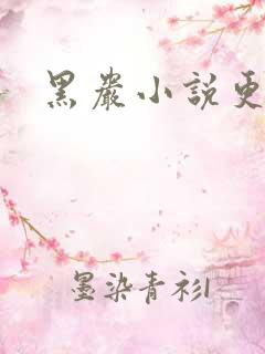 黑岩小说更新吧