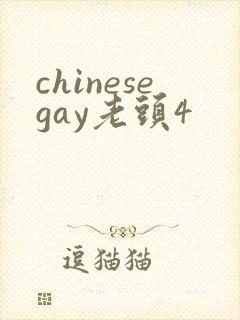 chinesegay老头4