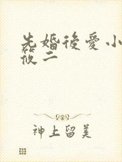 先婚后爱小说梦筱二