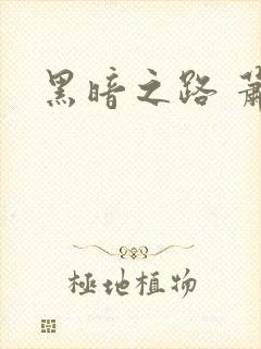 黑暗之路 萧鼎