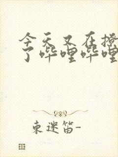 今天又在撩后妈了哔哩哔哩小说