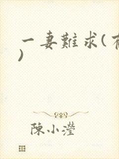 一妻难求(有肉)