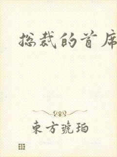 总裁的首席保姆