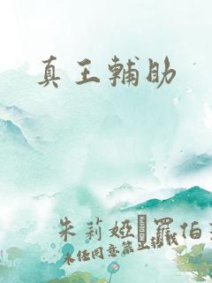 真王辅助
