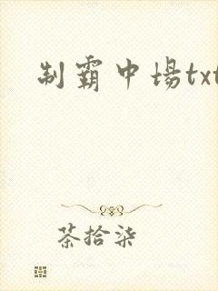 制霸中场txt