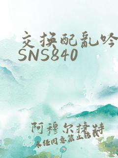 交换配乱吟粗大SNS840