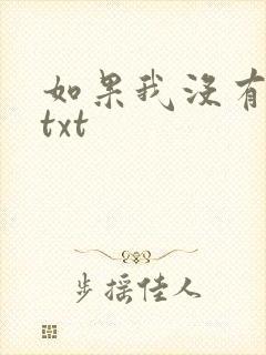 如果我没有爱过txt