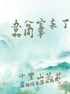 办公室来了个极品同事