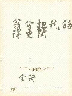 翁公把我的腿分得更开