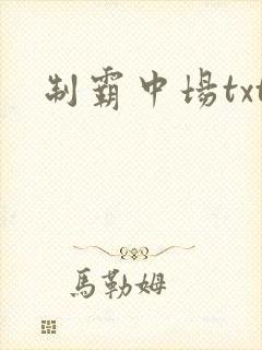 制霸中场txt