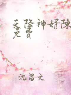 天降神婿陈黄皮免费