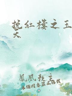 挽红楼之玉舞九天