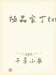 极品家丁txt