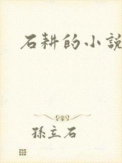 石耕的小说
