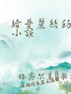 给爱丽丝的奇迹小说