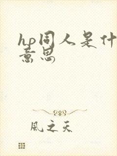 hp同人是什么意思