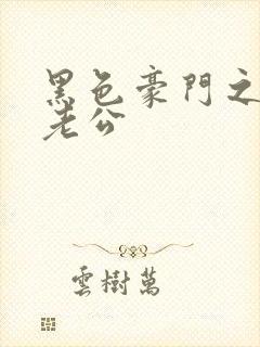 黑色豪门之王子老公